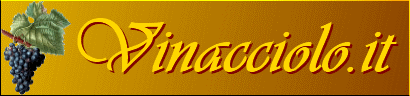 Banner Pubblicitario